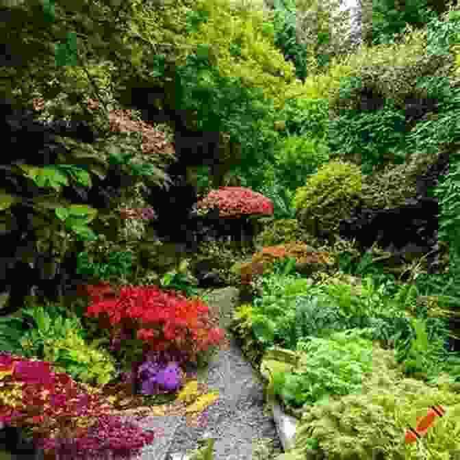 A Lush And Colorful Vegetable Garden Bursting With Vibrant Colors, Showcasing The Beauty And Diversity Of Nature's Bounty. Vegetable Valley Let S Eat