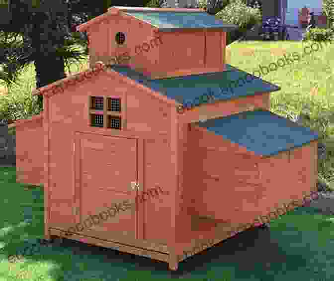 A Well Maintained Coop With Ample Space, Ventilation, And Nesting Boxes, Providing A Comfortable And Secure Environment For Roosters Roosters As Pets: Rooster Breed General Info Purchasing Care Cost Keeping Health Supplies Food Breeding And More Included A Care Guide For Pet Roosters