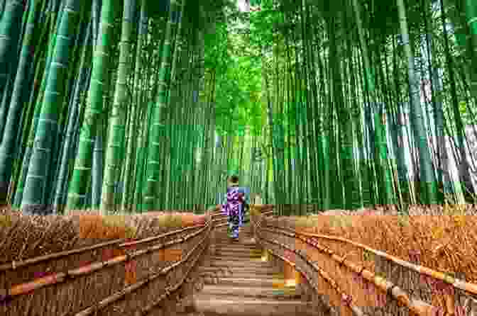 Arashiyama Bamboo Forest Ablaze In Hues Of Orange And Gold Find Kyoto Vol 2 Colored Leaves