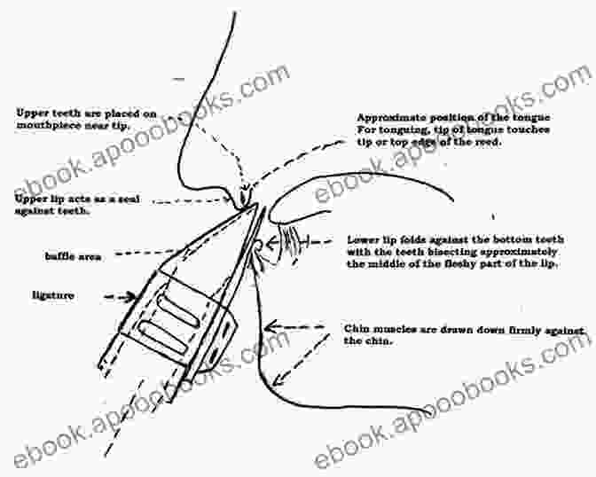 Diagram Of Clarinet Embouchure Learn To Play Clarinet Duets