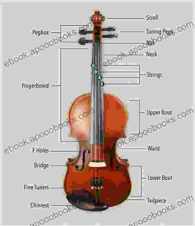 Diagram Of The Violin's Anatomy How To Play The Violin: A Beginner S Guide To Learning The Violin Basics Reading Music And Playing Songs