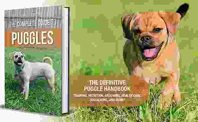 Embraced From Loving Puggle Book Cover Missing My Dog My Best Friend: Ginger: Embraced From A Loving Puggle