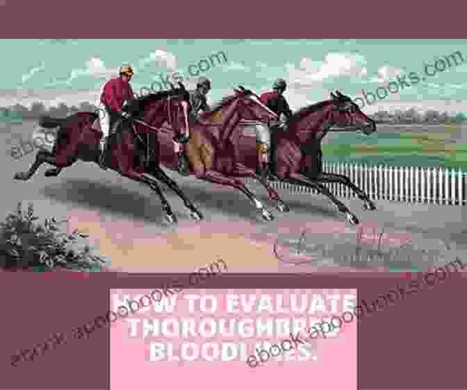 Evaluating A Thoroughbred Racehorse Become A Winner Claiming Thoroughbred Racehorses