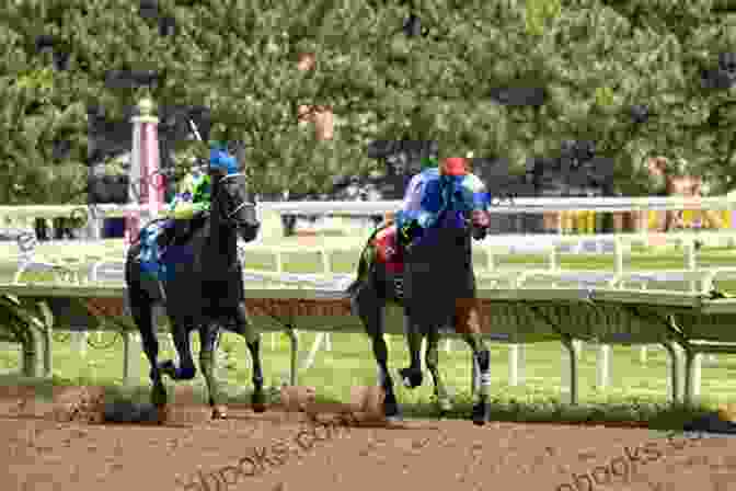 Exciting Claiming Race In Progress Become A Winner Claiming Thoroughbred Racehorses