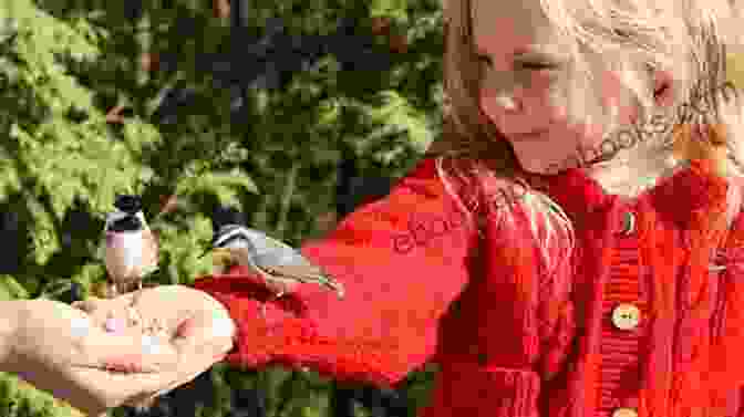 Image Of A Person Playing With A Bird Capybara A Complete Owner S Guide: Facts Information: Habitat Diet Health Breeding Care And Much More All Covered