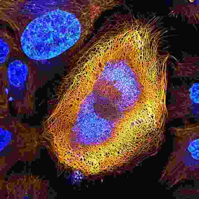 Microscopic Image Of Cell Division, Highlighting The Intricate Processes Of Life The Fundamentals Of Biology Yannick Haenel