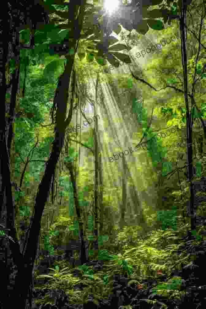 Plant Ecology: Green World Book Cover Featuring A Lush Green Forest With Sunlight Streaming Through The Canopy Plant Ecology (Green World (Chelsea House))