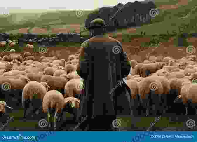 Shepherd Tending To A Flock Of Sheep On A Verdant Pasture The Shepherd S Life: Modern Dispatches From An Ancient Landscape