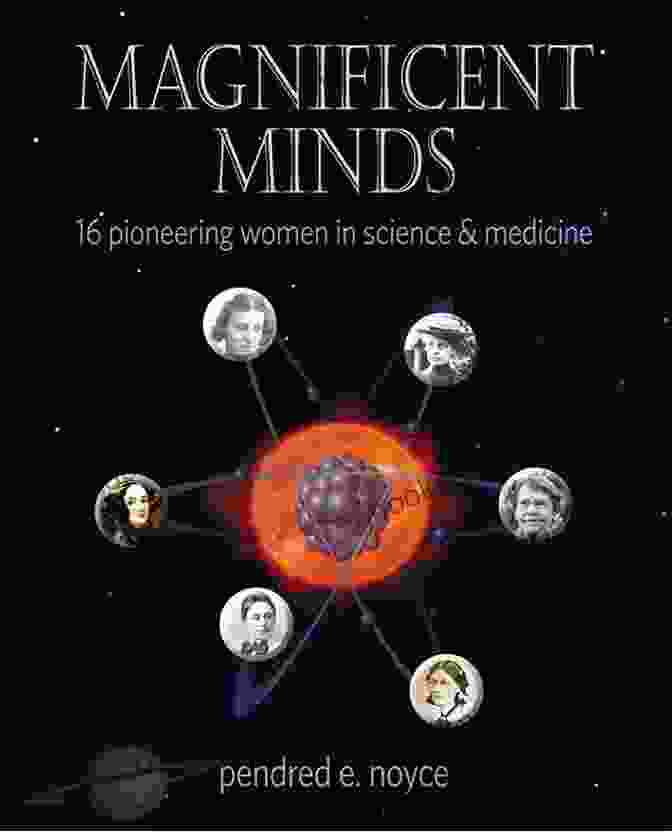 The Magnificent Mind Resource Book Introvert: The Magnificent Mind S Resource For Emotional Social Professional And Intellectual Success (Thrive Strength Stress Living Quiet Social People Mindset Personal Success Power)