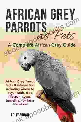 African Grey Parrots as Pets: African Grey Parrot facts information including where to buy health diet lifespan types breeding fun facts and more A Complete African Grey Guide