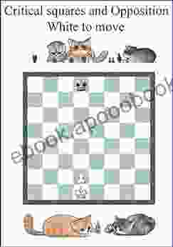 Opposition Critical Squares: The Most Important Chess Pattern A Chance To Win Draw Or Lose With The Right Move Just One: Can You Afford Not To Know How? (Chess Manual)