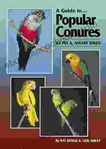 A Guide To Popular Conures As Pet And Aviary Birds