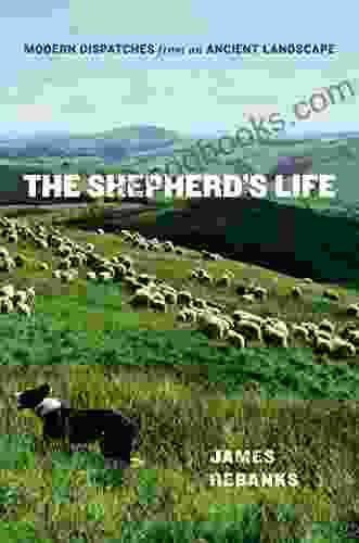 The Shepherd S Life: Modern Dispatches From An Ancient Landscape