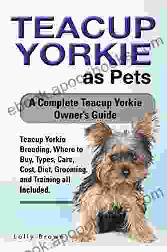 Teacup Yorkie as Pets: Teacup Yorkie Breeding Where to Buy Types Care Cost Diet Grooming and Training all Included A Complete Teacup Yorkie Owner s Guide