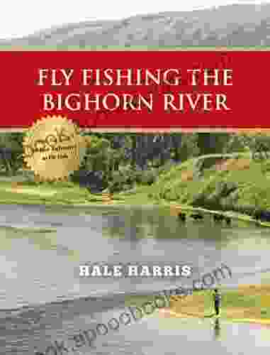 Fly Fishing the Bighorn River