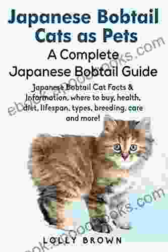 Japanese Bobtail Cats As Pets: Japanese Bobtail Cat Facts Information Where To Buy Health Diet Lifespan Types Breeding Care And More A Complete Japanese Bobtail Guide