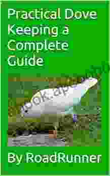 Practical Dove Keeping A Complete Guide