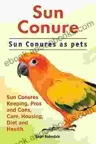 Sun conures Sun Conures keeping pros and cons care housing health and diet Sun Conure Complete Owners Manual