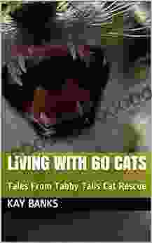 Living With 60 Cats: Tales From Tabby Tails Cat Rescue