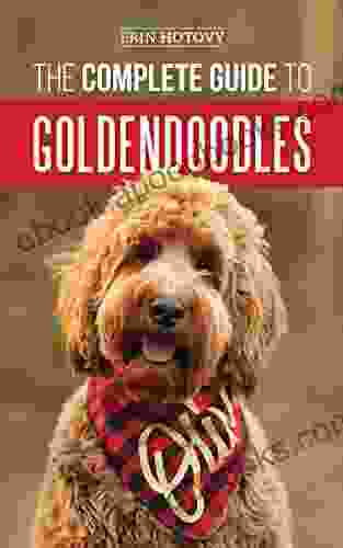 The Complete Guide To Goldendoodles: How To Find Train Feed Groom And Love Your New Goldendoodle Puppy