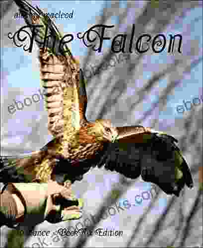 The Falcon Terry O Reilly