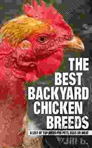 The Best Backyard Chicken Breeds: A List Of Top Birds For Pets Eggs And Meat (Livestock 2)