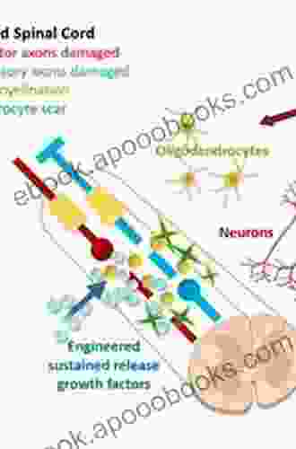 AOSpine Masters Volume 7: Spinal Cord Injury And Regeneration