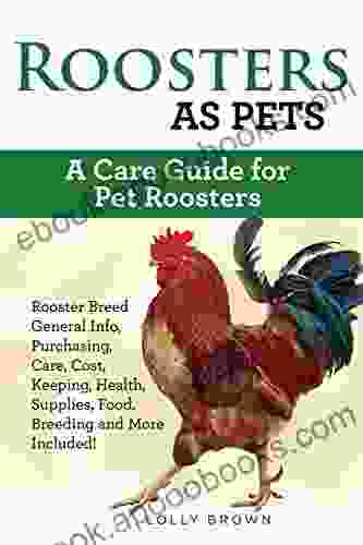 Roosters As Pets: Rooster Breed General Info Purchasing Care Cost Keeping Health Supplies Food Breeding And More Included A Care Guide For Pet Roosters