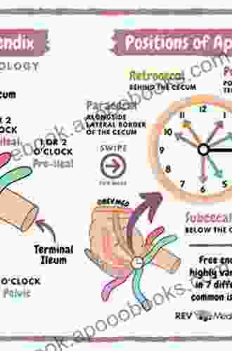 Vasculature Of The Brain And Cranial Base: Variations In Clinical Anatomy