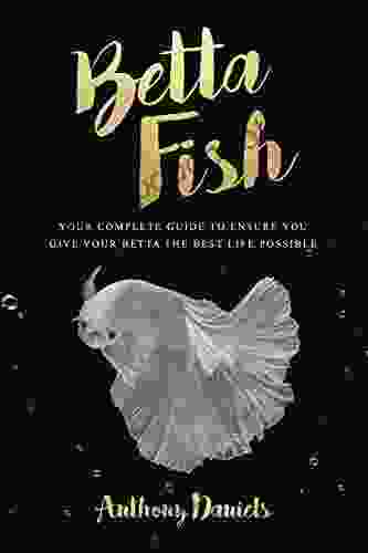 Betta Fish: Your Complete Guide To Ensure You Give Your Betta The Best Life Possible